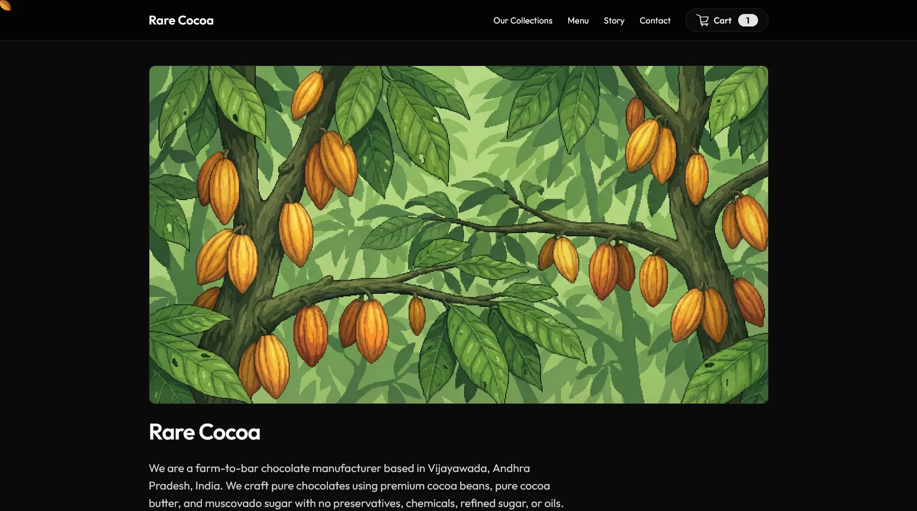 Rare Cocoa dark storefront with farm-to-bar chocolate collections