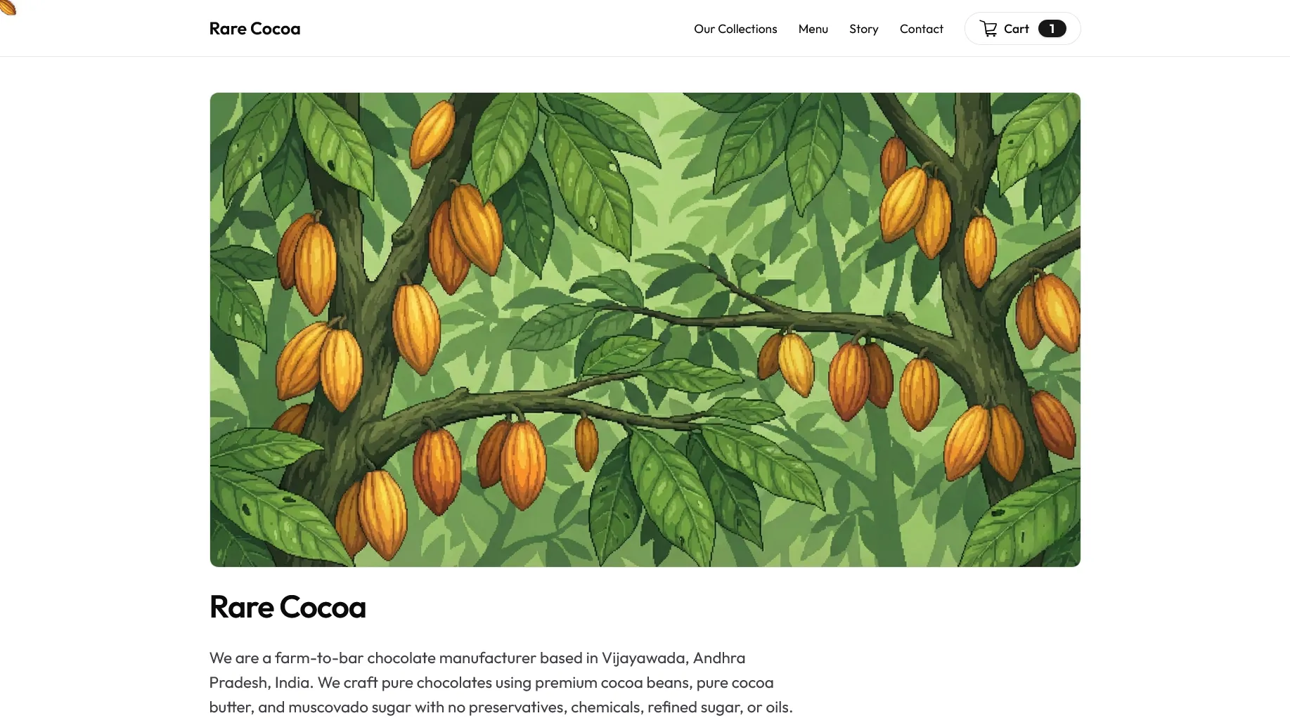 Rare Cocoa light storefront with farm-to-bar chocolate collections